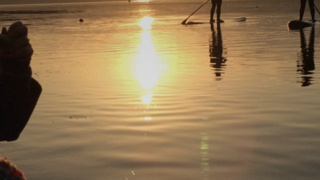 Wing Foiling, SUP and Surf Reviews - Technology