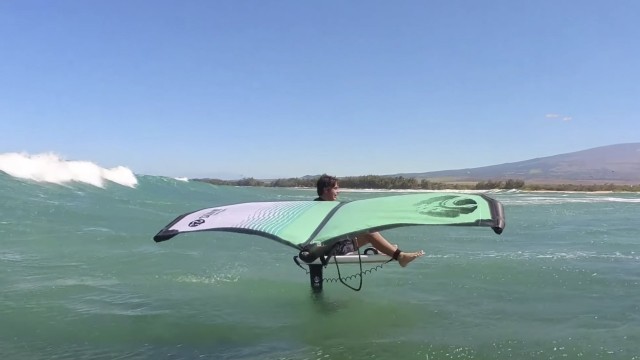 Winging Island Style