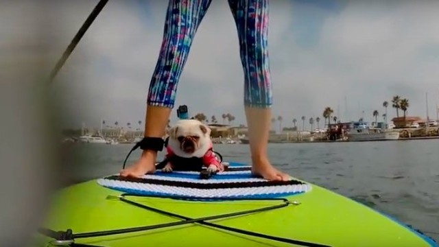 SUP Around The World | Airhead SUP