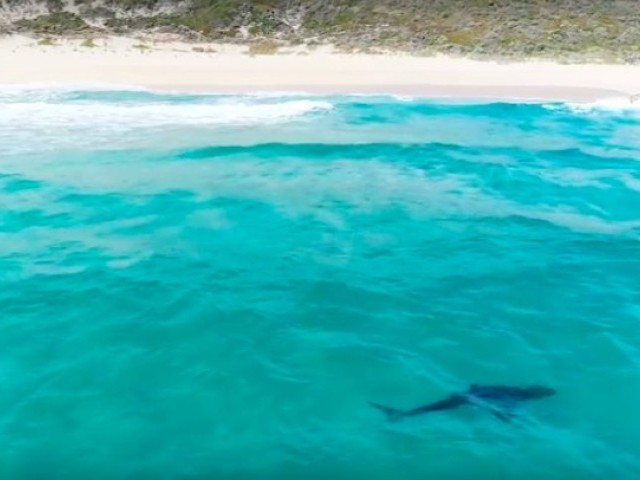 Wild Waters of West OZ: No Contest hits Margaret River