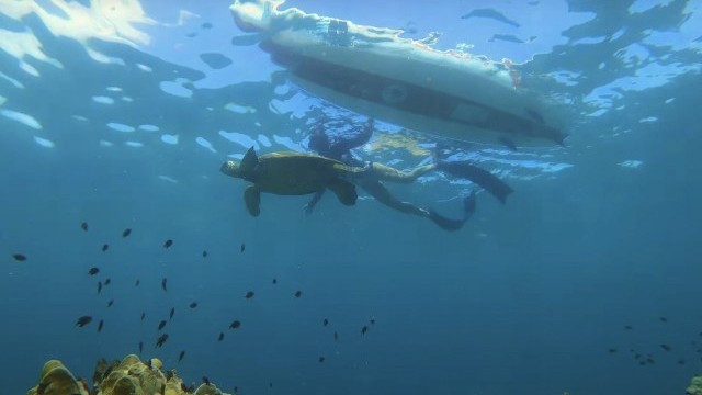 Morning SUP Adventure in Hawaii - Body Glove Performer11 | MicBergsma