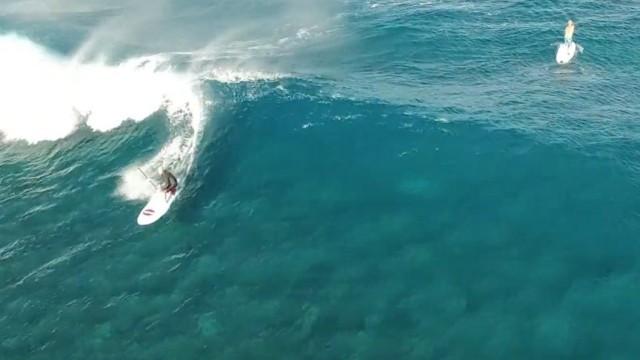 SMIK Trip To The South Pacific On Wildlife