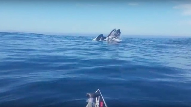 Through My Eyes Official Trailer