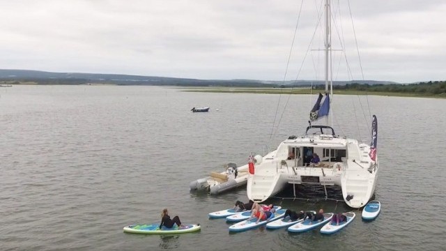 Poole Harbour SUP Safari