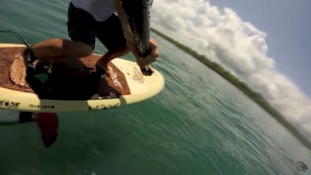 SUP Foiling- Fabrice Beaux riding the BP Microchip- May 2017