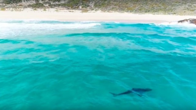 Wild Waters of West OZ: No Contest hits Margaret River