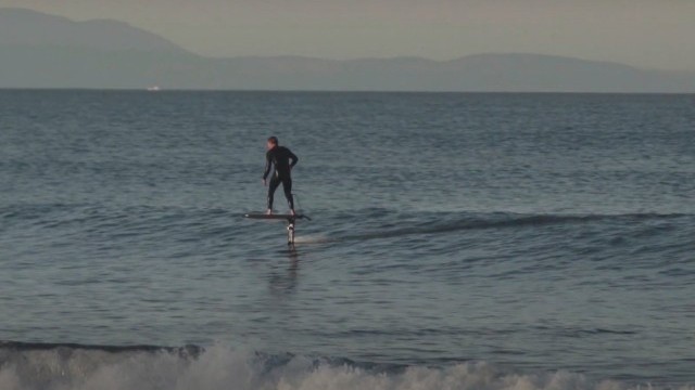 Pathways featuring Dale Staples