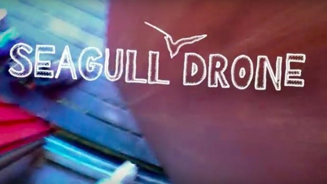 GoPro: Seagull Theft - With Telemetry in 4K