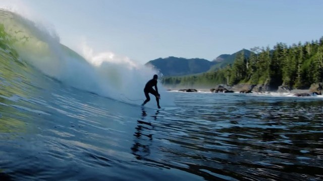 Manera - BORN PACIFIC