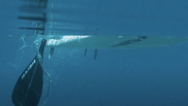 NEW Naish SUP Paddles