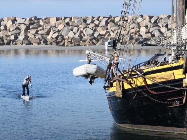 Infinity Blackfish (Dugout) ///  Candice Appleby