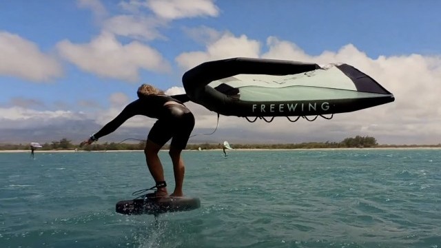 Don't give up, keep on winging