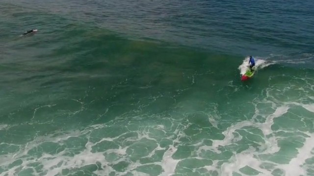 SUP Surfing with dolphins Bells Beach