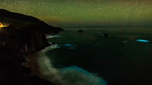 See a Glowing Plankton Bloom in California's Big Sur | National Geographic