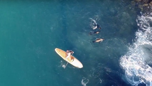 Stand Up Paddling and Kayaking the Galapagos Islands | Facing Waves