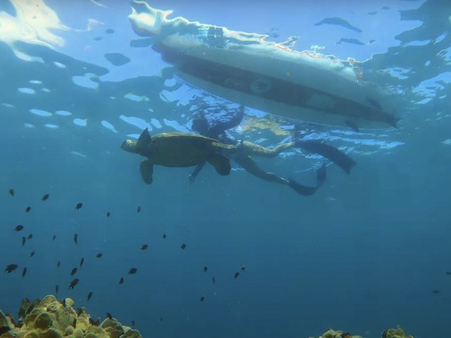 Morning SUP Adventure in Hawaii - Body Glove Performer11 | MicBergsma