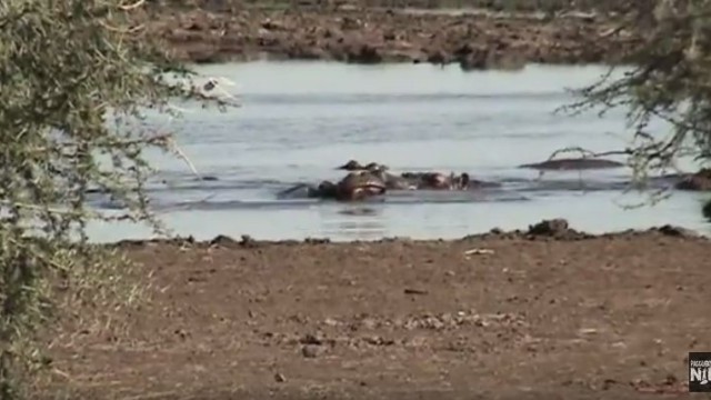 Paddle Boarding the Nile: A Week To Go