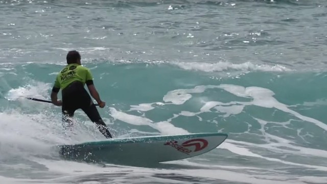 [Mondial Sealion] Demandez le programme !