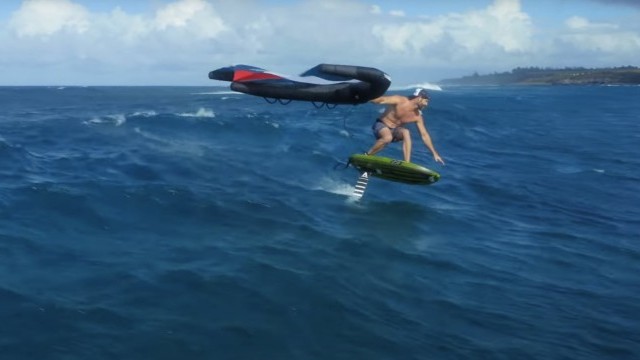 H  A  1  9  5   .  T A I L .  W I N G .  |  .  D Y L A N  .  F I S H