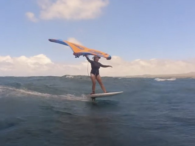 A super windy summer full of winging