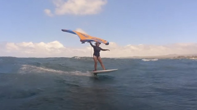 A super windy summer full of winging