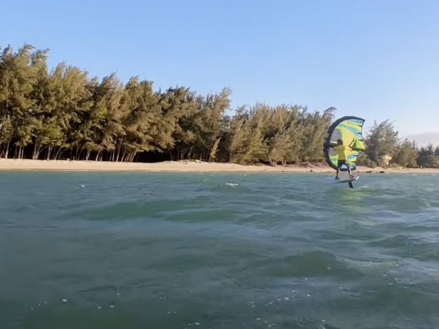 A long beautiful winging summer