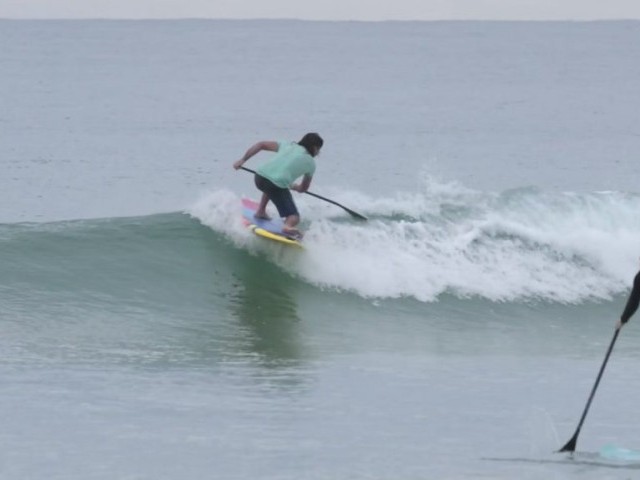 Finless Nah Furious
