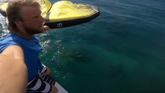 Kite • Wind • Wing surfing