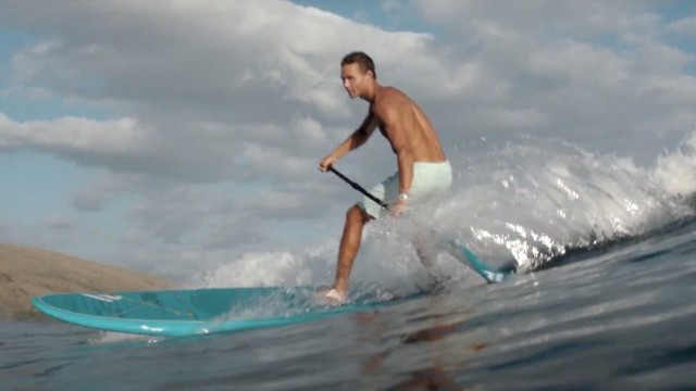 Fanatic SUP Paddle Collection 2020