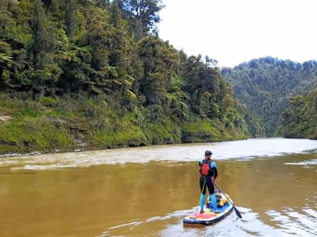 Whanganui River Paddle Boarding