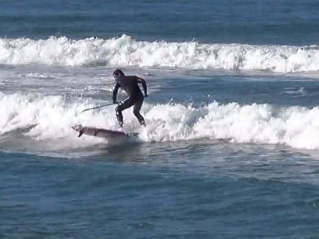 Leroy Xavier Gong 9 foot HD pro...