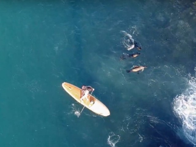 Stand Up Paddling and Kayaking the Galapagos Islands | Facing Waves