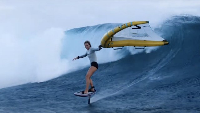 Fanatic Aero Carve Wings 2022