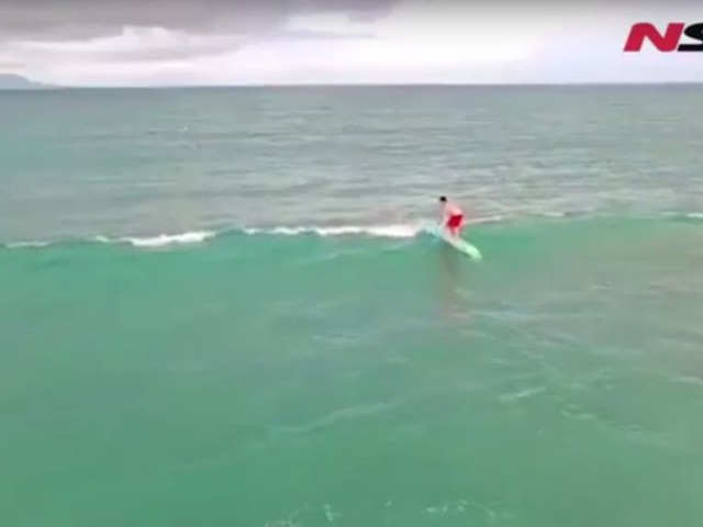 The NSP Race fins introduced by Travis Grant