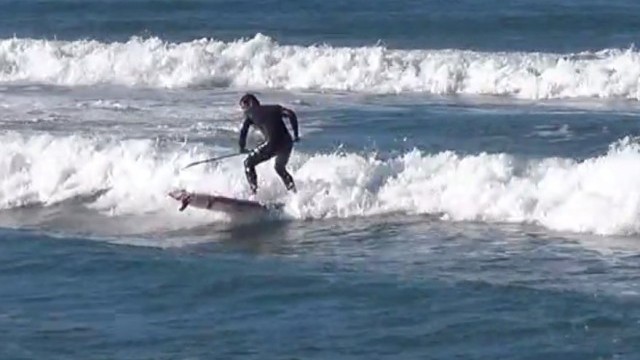 Leroy Xavier Gong 9 foot HD pro...