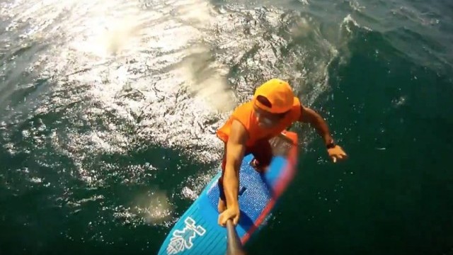 Starboard "Sup Tomo" GoFoil MALIKO DownWind