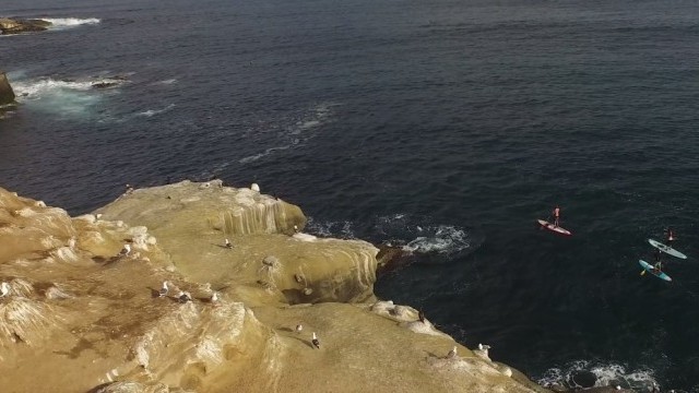 Boardworks Shop Loop 2016-17