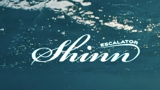 Shinn ESCALATOR Wing | Shinnworld
