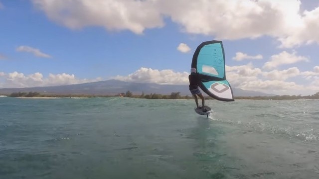 Winging the Aloha way