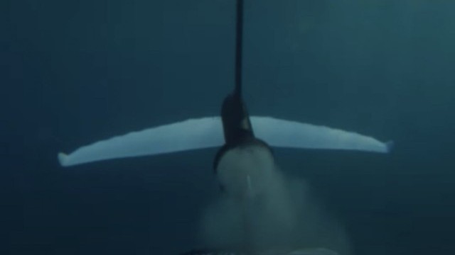 Takuma Efoil Carver 2