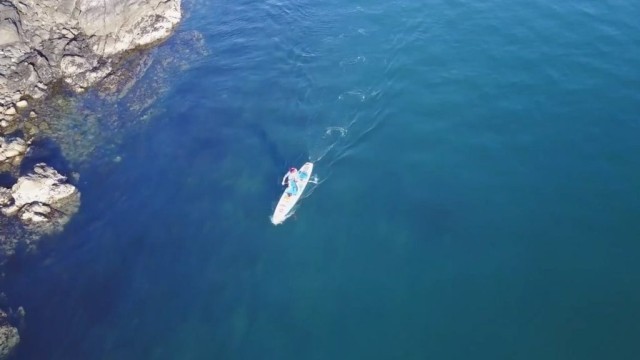 Paddle Boarding San Juan Island