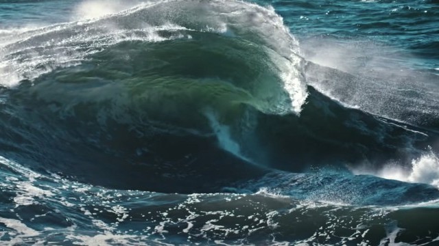 Fishpeople | Lives Transformed by the Sea