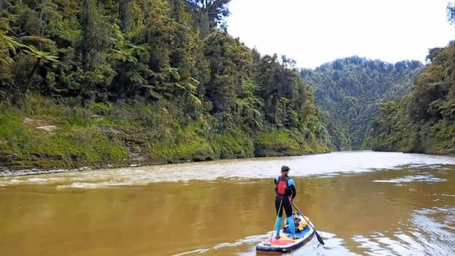 Whanganui River Paddle Boarding