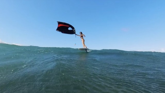 Loyal to the Wing and Foil, I need you.