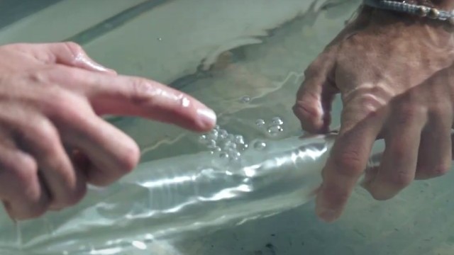 Ozone Wing bladder puncture repair