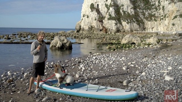 How to get your dog on a paddle board with Red Paddle Co