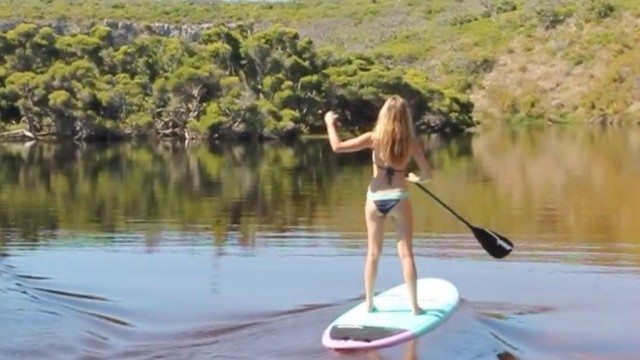 SMIK 9’1x31 Esea Rider