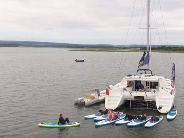 Poole Harbour SUP Safari