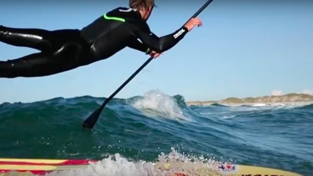 MOTIVATION IS EVERYWHERE - "The PolarBear"