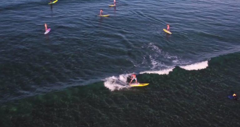 2017 Naish Quest Surf Range